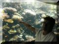 aquarium_im_oceanopolis.JPG