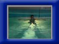 pool_lana_back1.JPG